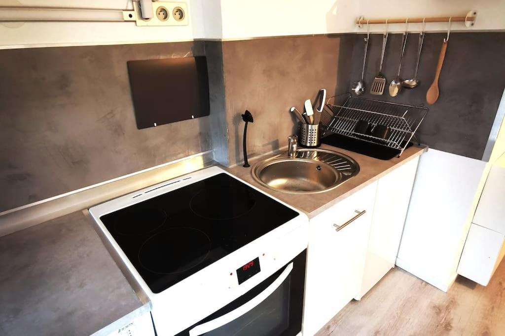 Studio Coquet Avec Vue Sainte-Foy-lès-Lyon Dış mekan fotoğraf